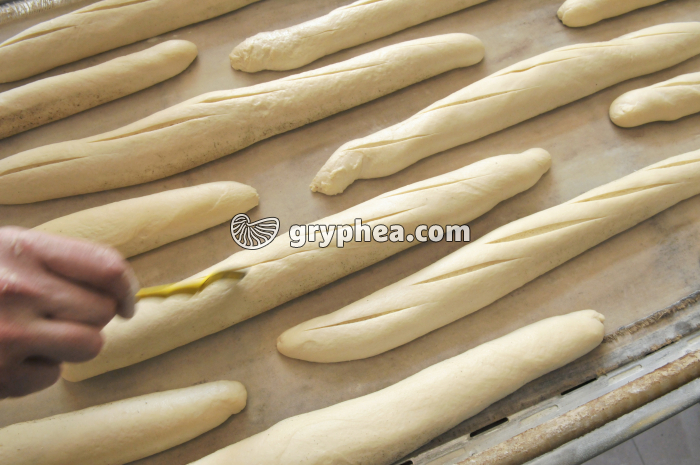 Signature des patons fermentés avant cuisson - gryphea.com
